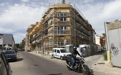 Auge de proyectos
